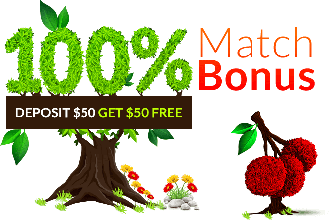100% Match Bonus
